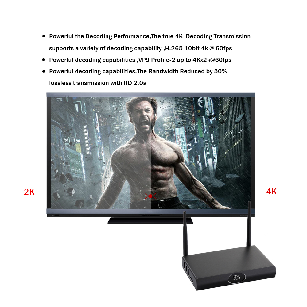 Supports H.265, VP9, ​​and HDMI 2.0a